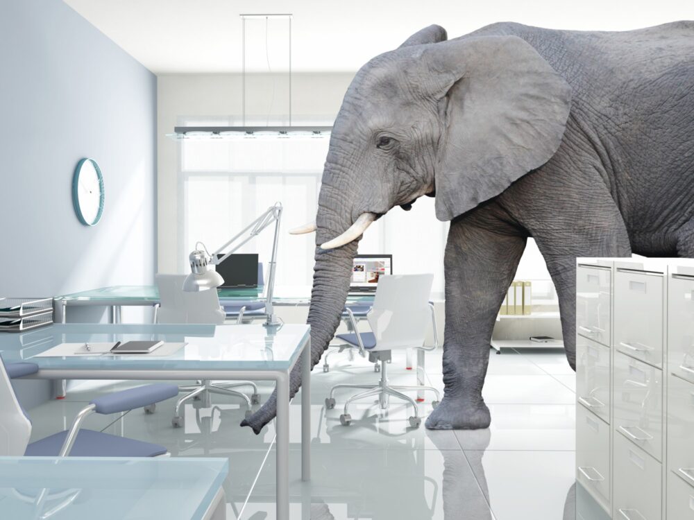 Costs and financial planning benefits concept photo with huge elephant walk in modern office.